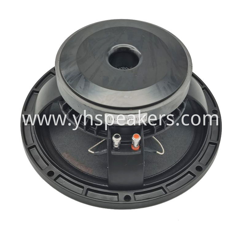10 inch low frequency ferrite driver